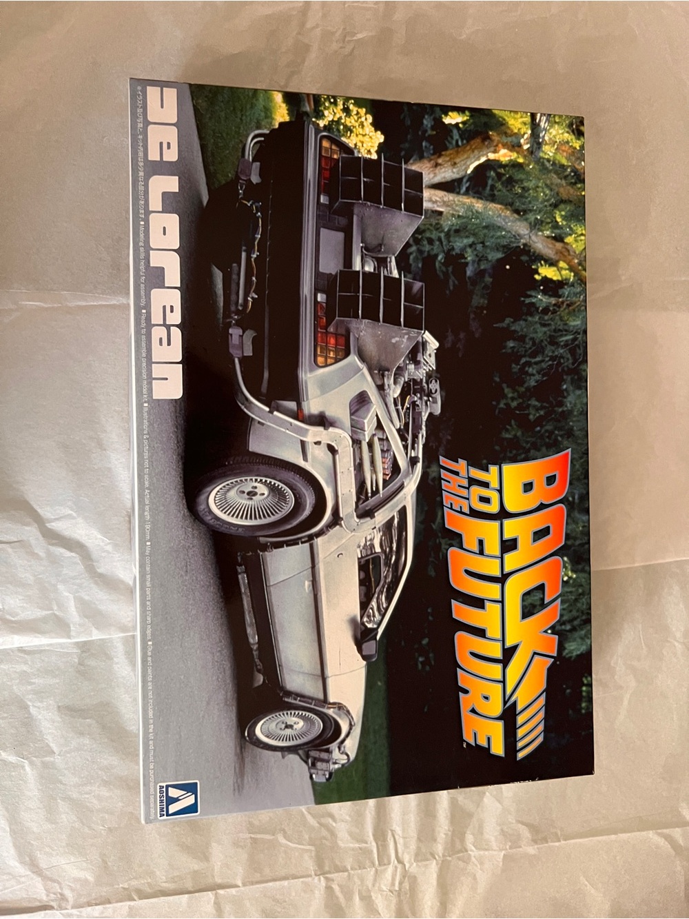 Back to the Future DeLorean Aoshima Model Kit Collector Edition